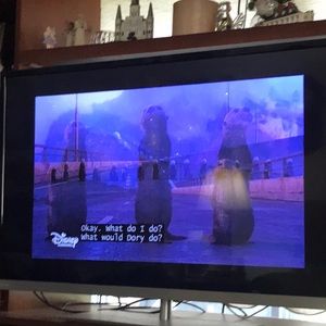 Meet your Posher, Ben